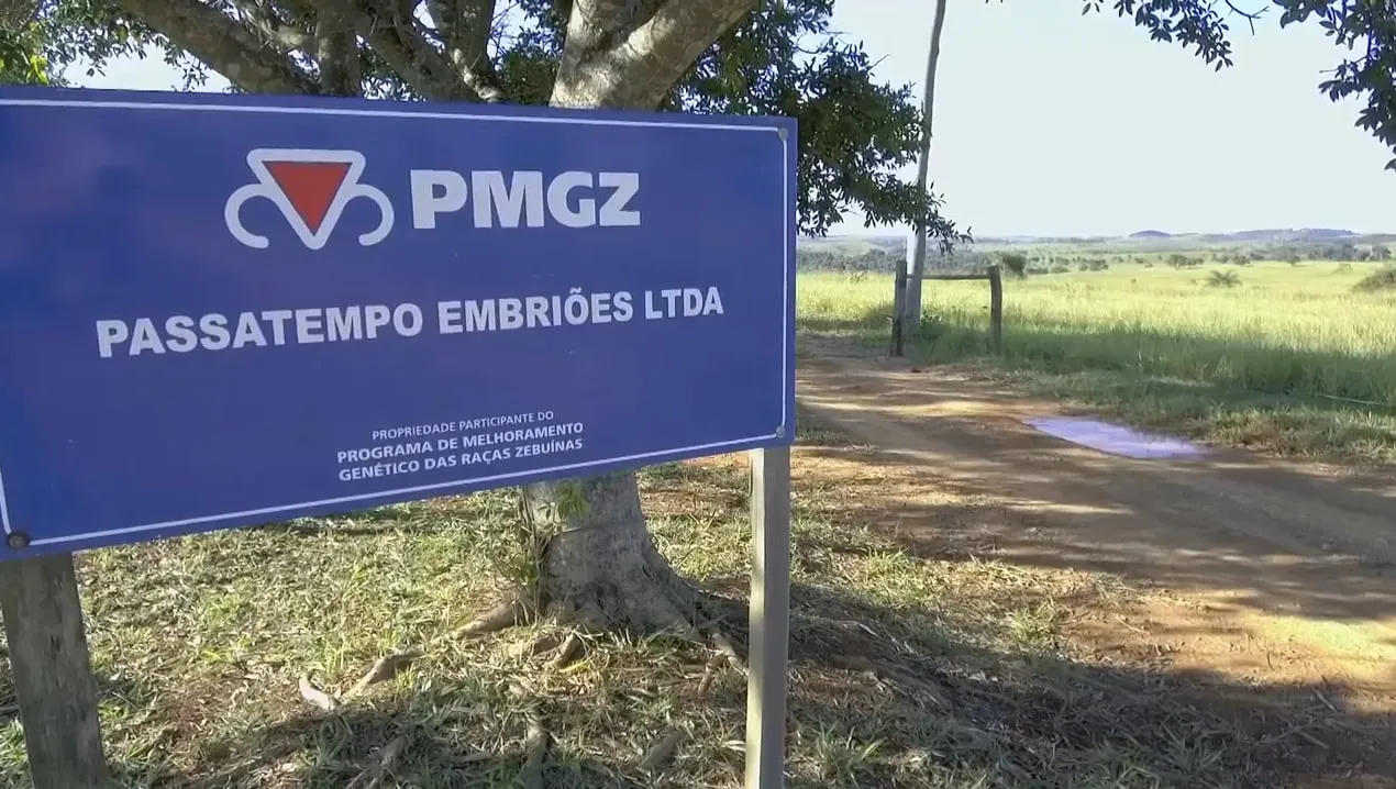 Parceria Passatempo Embriões